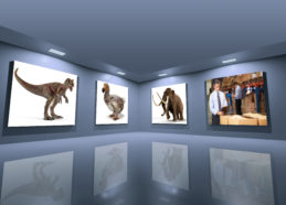 Museum gallery with extinct breeds